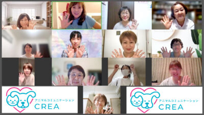 アニマルコミュニケーション講座